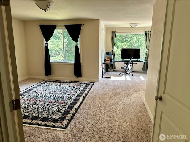 office area featuring carpet and baseboards