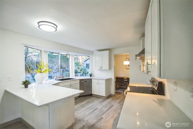 kitchen with light countertops, a peninsula, exhaust hood, stainless steel appliances, and a sink