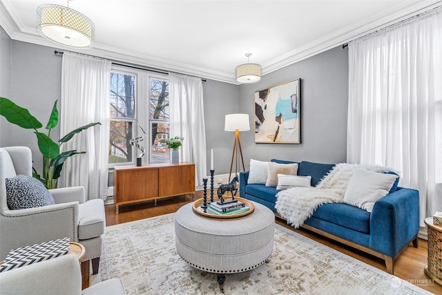 living room with hardwood / wood-style floors and ornamental molding