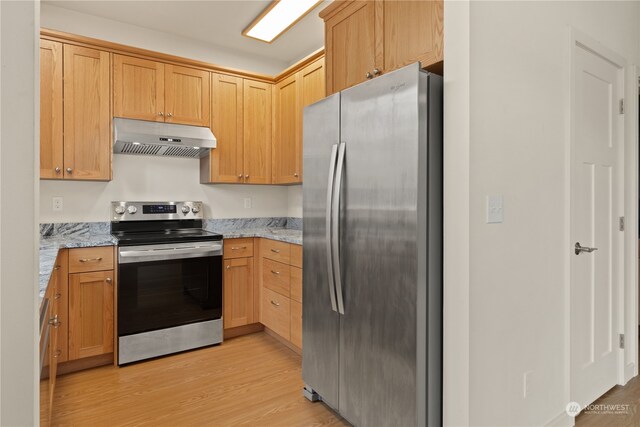 161 Oak St, Quilcene, WA 98376 - kitchen with appliances with stainless steel finishes, under cabinet range hood, light wood-style floors, and light stone countertops
