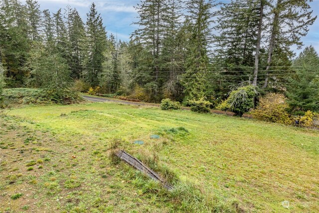 161 Oak St, Quilcene, WA 98376 - view of green lawn with a forest view