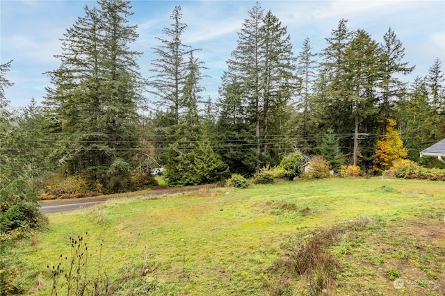 161 Oak St, Quilcene, WA 98376 - view of yard with a forest view