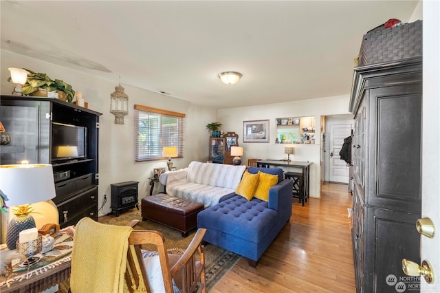 living room with wood-type flooring