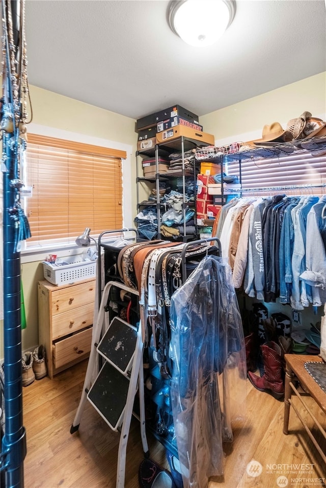 walk in closet with light hardwood / wood-style floors