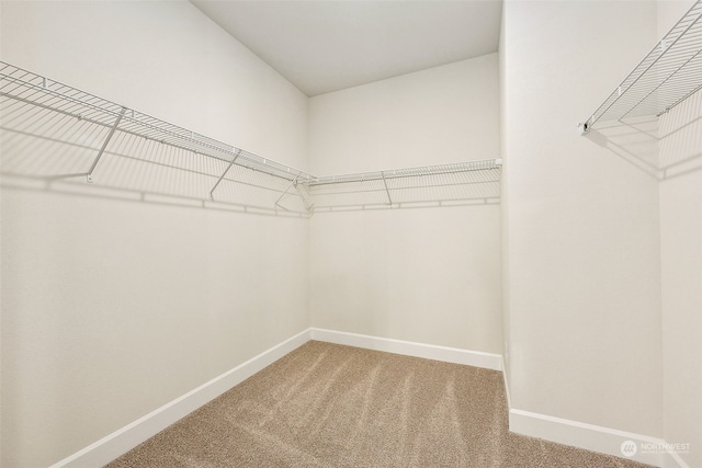 walk in closet with carpet