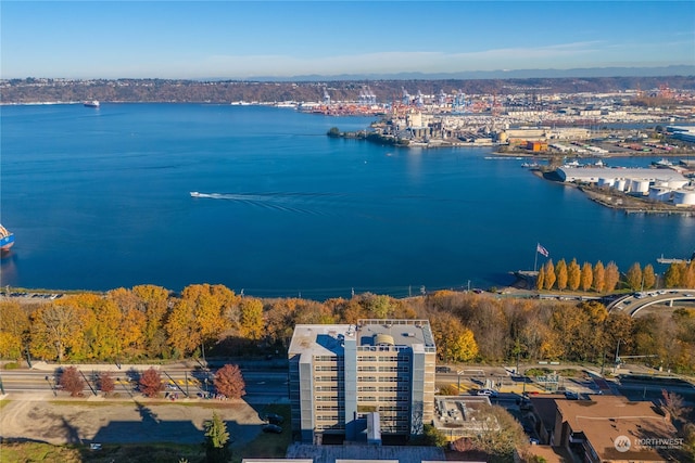 birds eye view of property featuring a water view