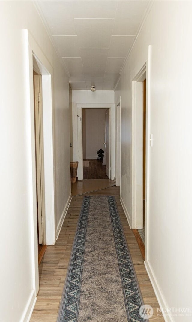 hall with baseboards, wood finished floors, and crown molding