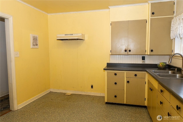 kitchen with dark countertops, crown molding, baseboards, and a sink