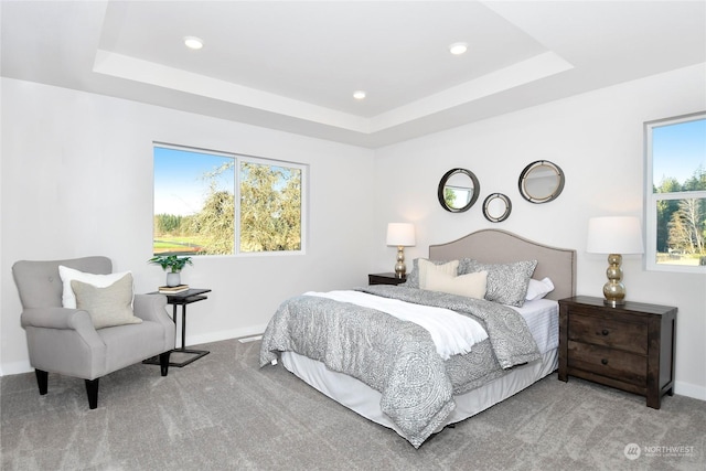 bedroom featuring a raised ceiling, multiple windows, and carpet