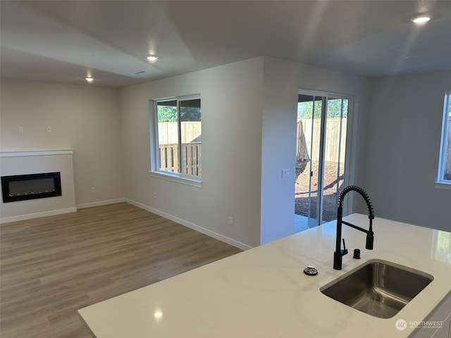 kitchen featuring hardwood / wood-style floors and sink