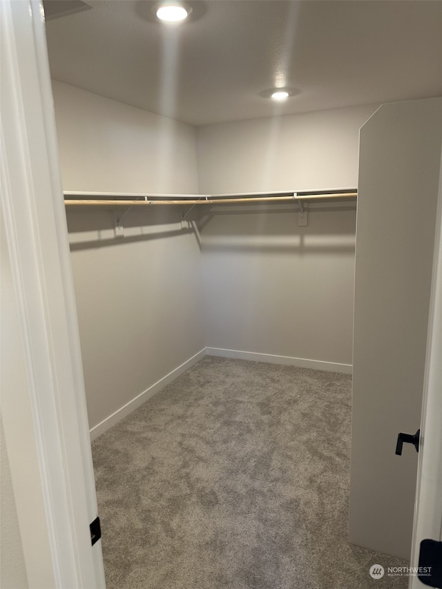 spacious closet with carpet