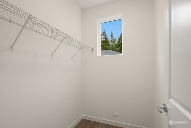 walk in closet featuring dark hardwood / wood-style floors