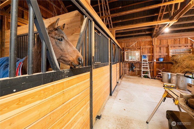 view of horse barn