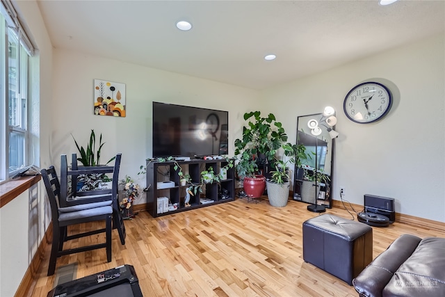 living room with hardwood / wood-style floors