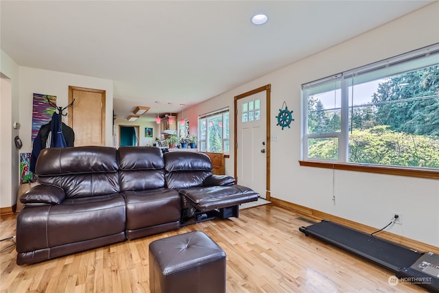 living room with light hardwood / wood-style floors and a healthy amount of sunlight