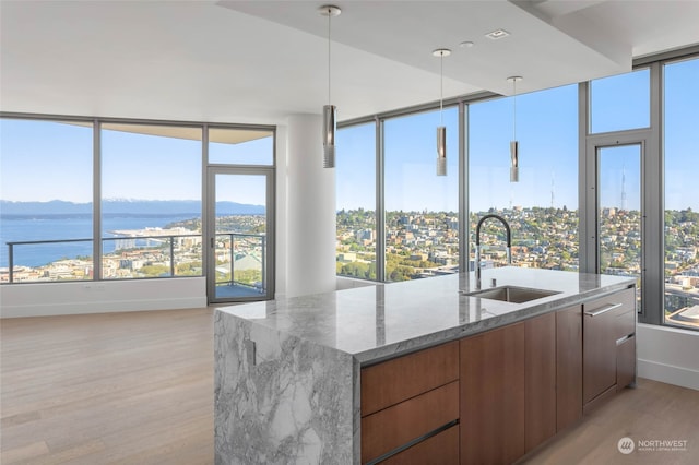 kitchen with light stone counters, plenty of natural light, and sink