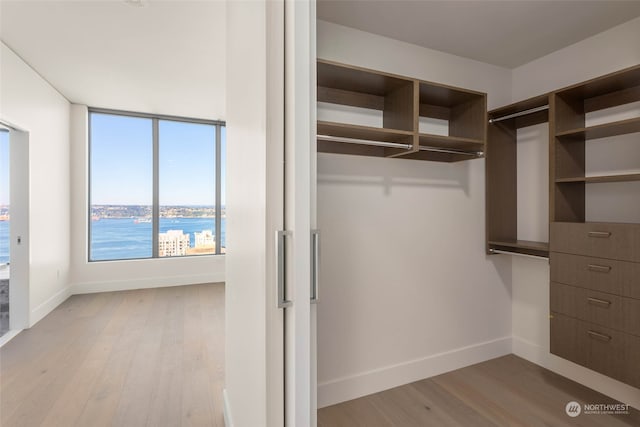 walk in closet featuring light hardwood / wood-style flooring