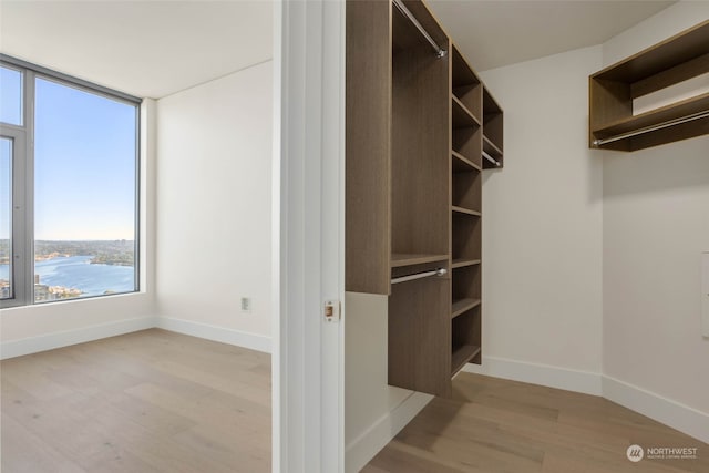 spacious closet with light hardwood / wood-style floors