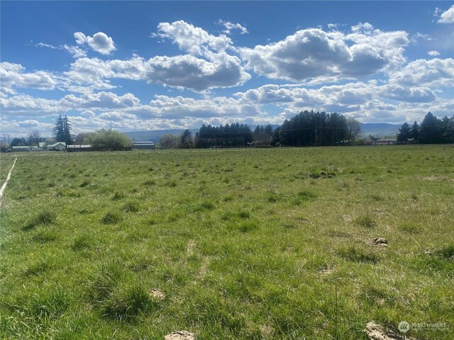 7XX Dry Creek Rd, Ellensburg, WA 98926 - photo 16