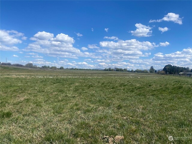 8XX Faust Rd, Ellensburg, WA 98926 - photo 13