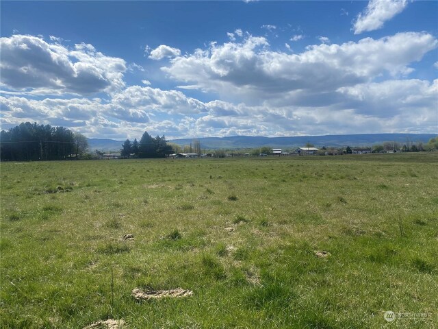 8XX Faust Rd, Ellensburg, WA 98926 - photo 19