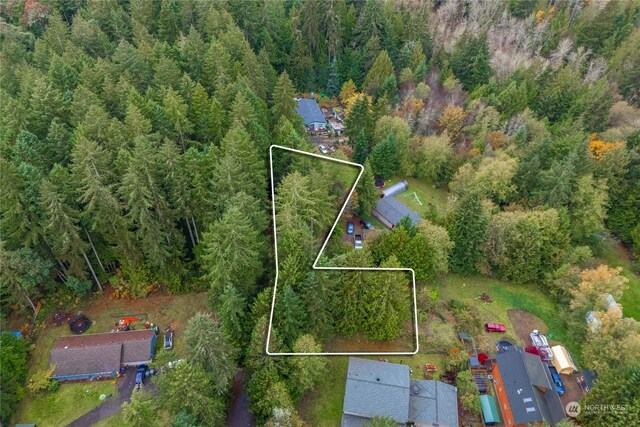 17903 Bass Ln NW, Lakebay, WA 98349 - photo 7