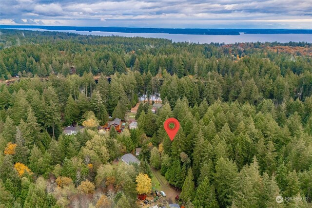 17903 Bass Ln NW, Lakebay, WA 98349 - photo 9
