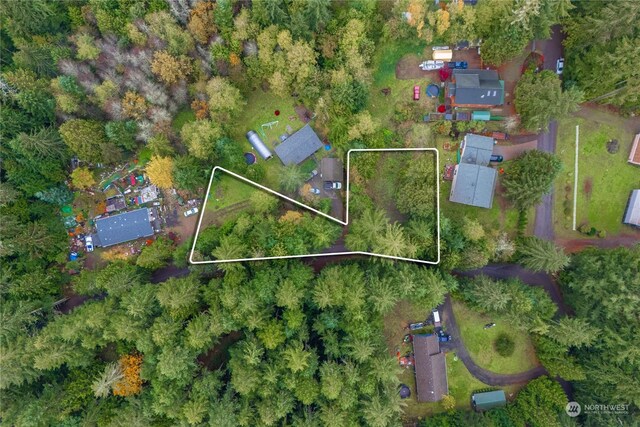 17903 Bass Ln NW, Lakebay, WA 98349 - photo 8