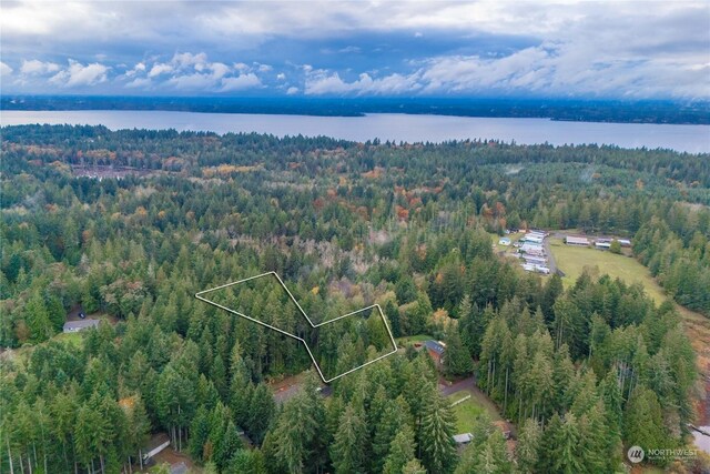 17903 Bass Ln NW, Lakebay, WA 98349 - photo 10