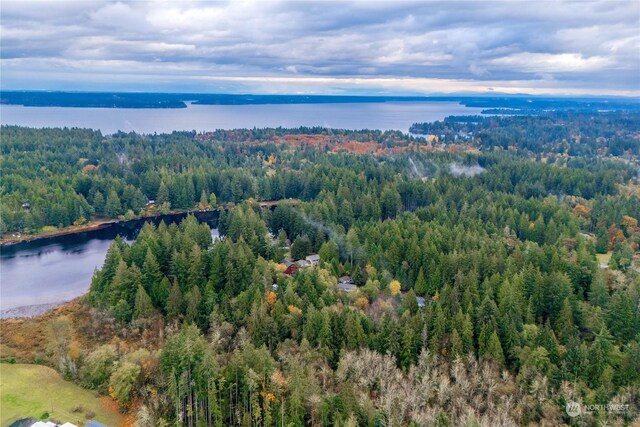 17903 Bass Ln NW, Lakebay, WA 98349 - photo 11