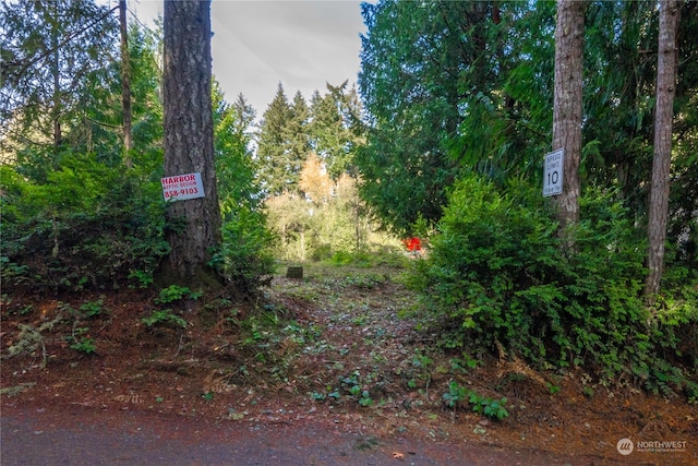 Listing photo 3 for 17903 Bass Ln NW, Lakebay WA 98349