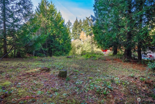 17903 Bass Ln NW, Lakebay, WA 98349 - photo 4