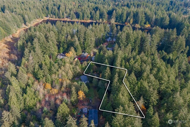 17903 Bass Ln NW, Lakebay, WA 98349 - photo 6