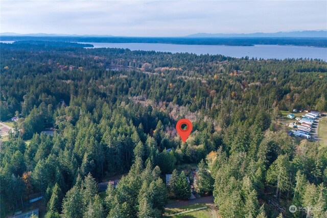 17903 Bass Ln NW, Lakebay, WA 98349 - photo 13