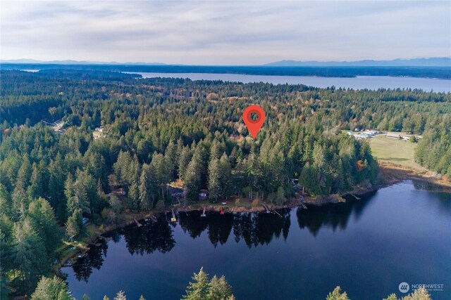 17903 Bass Ln NW, Lakebay, WA 98349 - photo 15