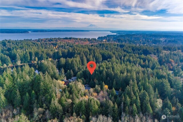 17903 Bass Ln NW, Lakebay, WA 98349 - photo 12