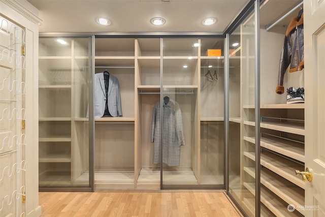 spacious closet featuring wood-type flooring