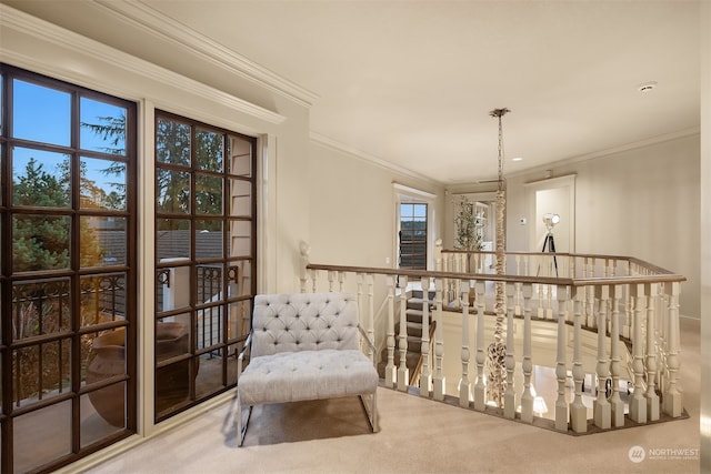 sitting room with carpet and ornamental molding