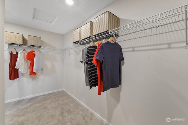 spacious closet featuring carpet floors