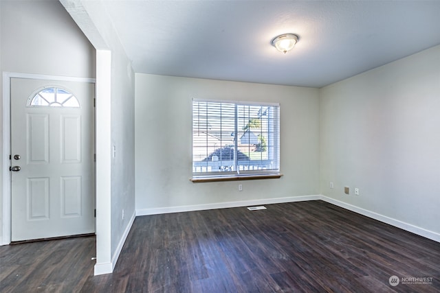 foyer featuring dark hardwood / wood-style flooring and a healthy amount of sunlight