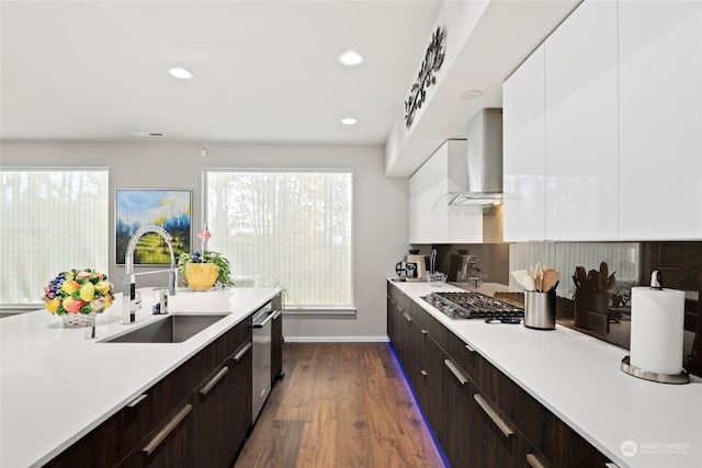 kitchen featuring stainless steel appliances, white cabinetry, sink, range hood, and dark wood-type flooring