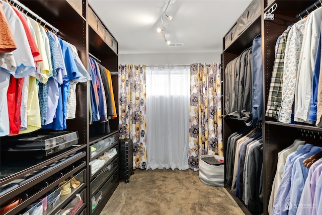 spacious closet featuring carpet flooring