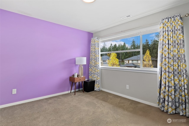 spare room featuring carpet flooring