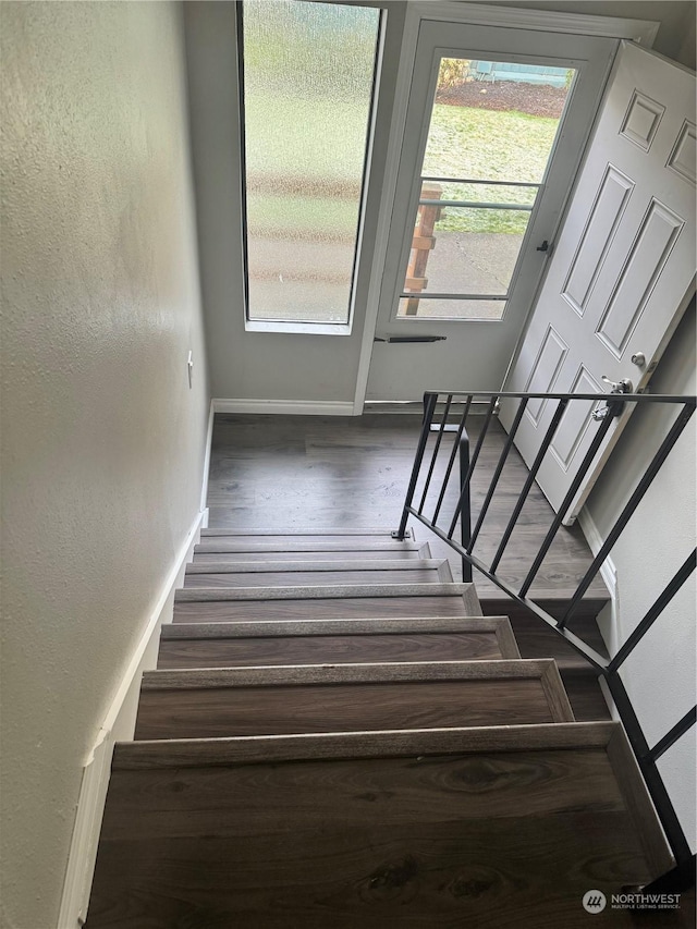 stairway featuring wood-type flooring