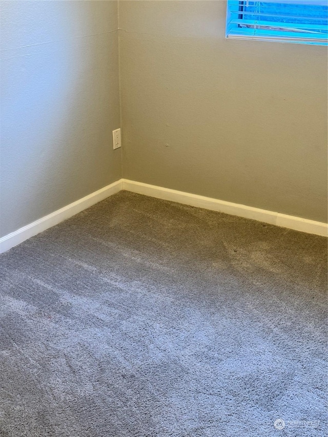 unfurnished room featuring carpet flooring