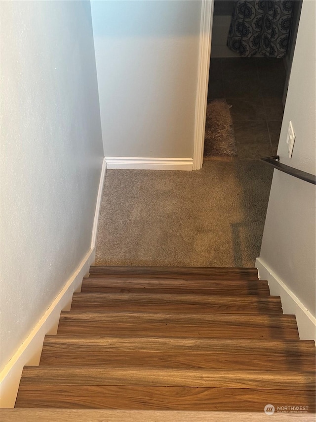 stairway featuring carpet floors