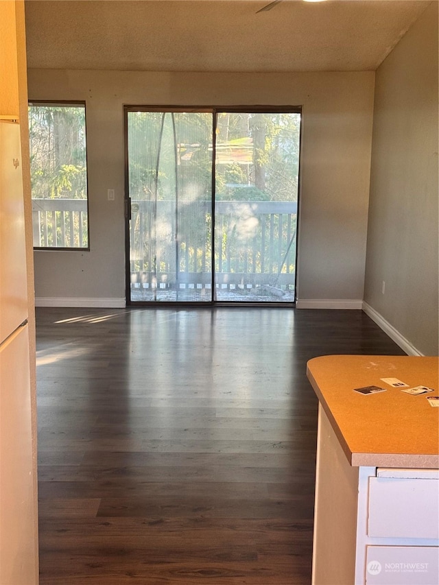 unfurnished room featuring dark hardwood / wood-style floors