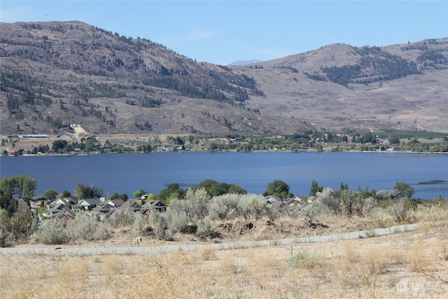 207 Village Way, Oroville WA, 98844 land for sale