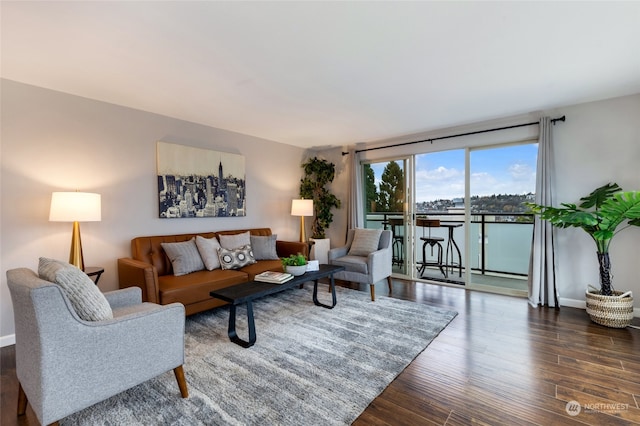 living room featuring dark hardwood / wood-style flooring