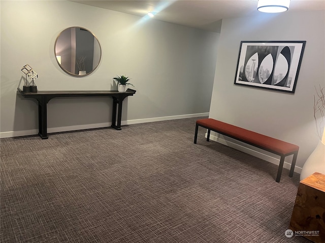 misc room with carpet floors